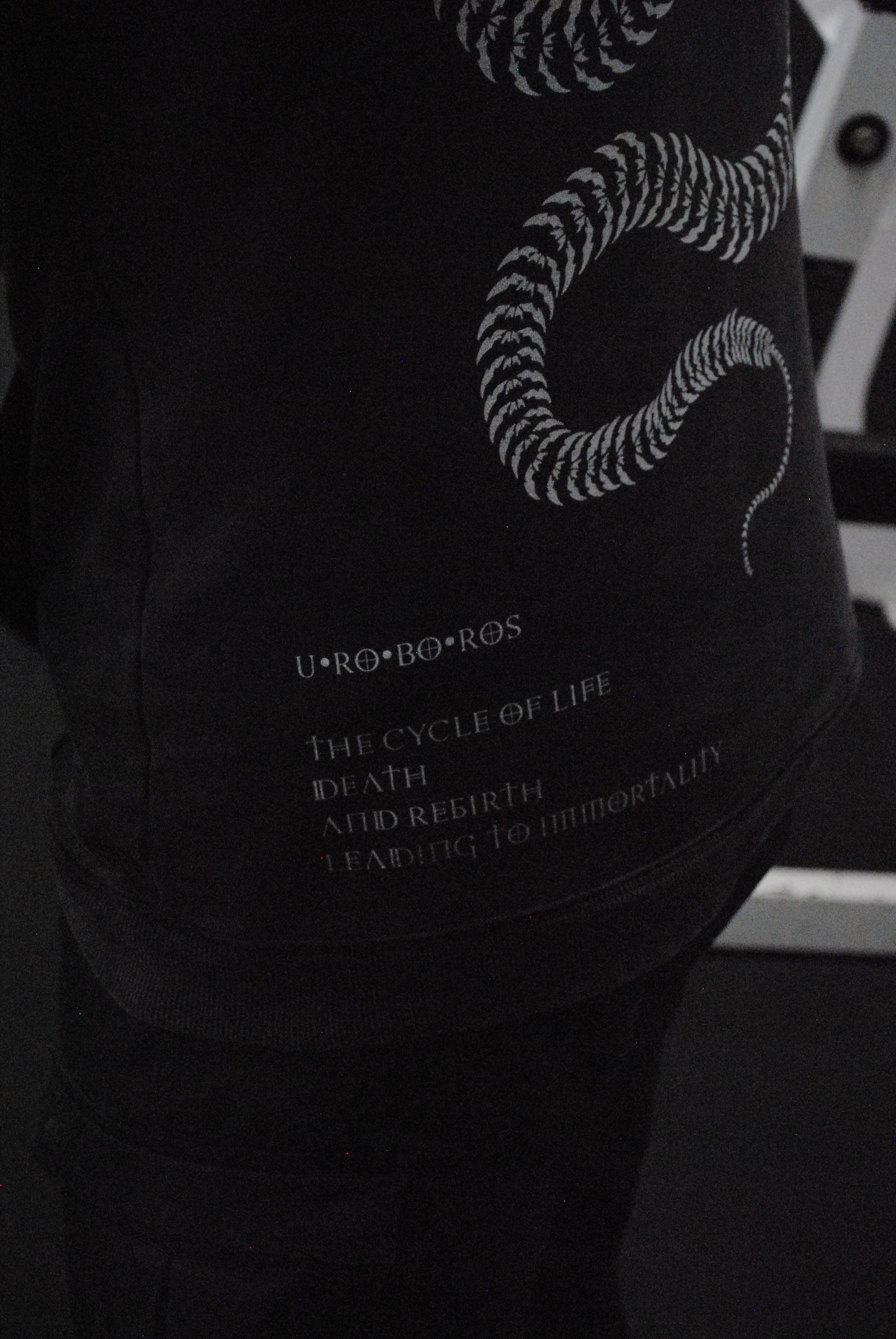 (Pre-Order) Uroboros Hoodie